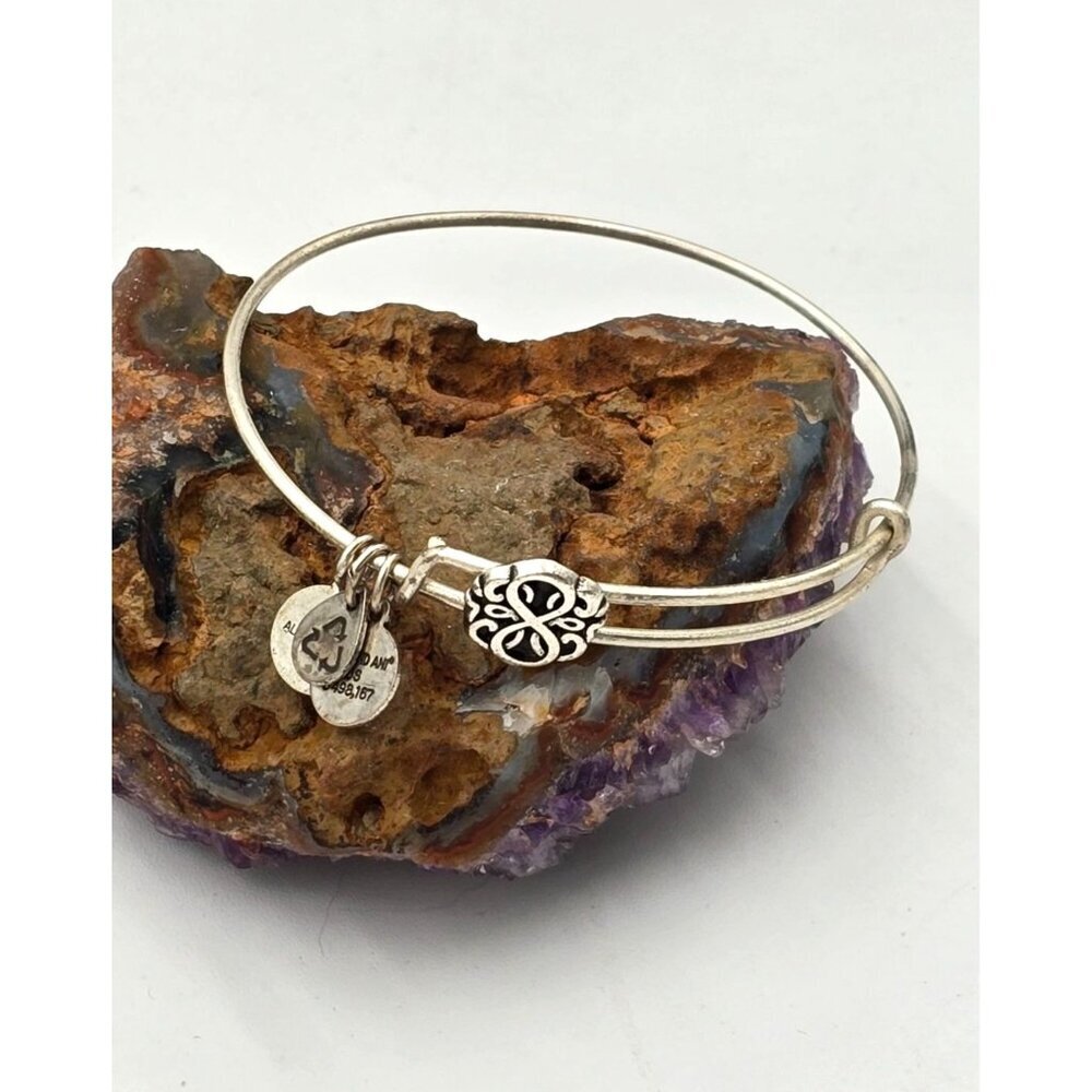 Alex and Ani Silvertone Path of Life Slide Charm Bangle Bracelet Jewelry - Picture 3 of 4